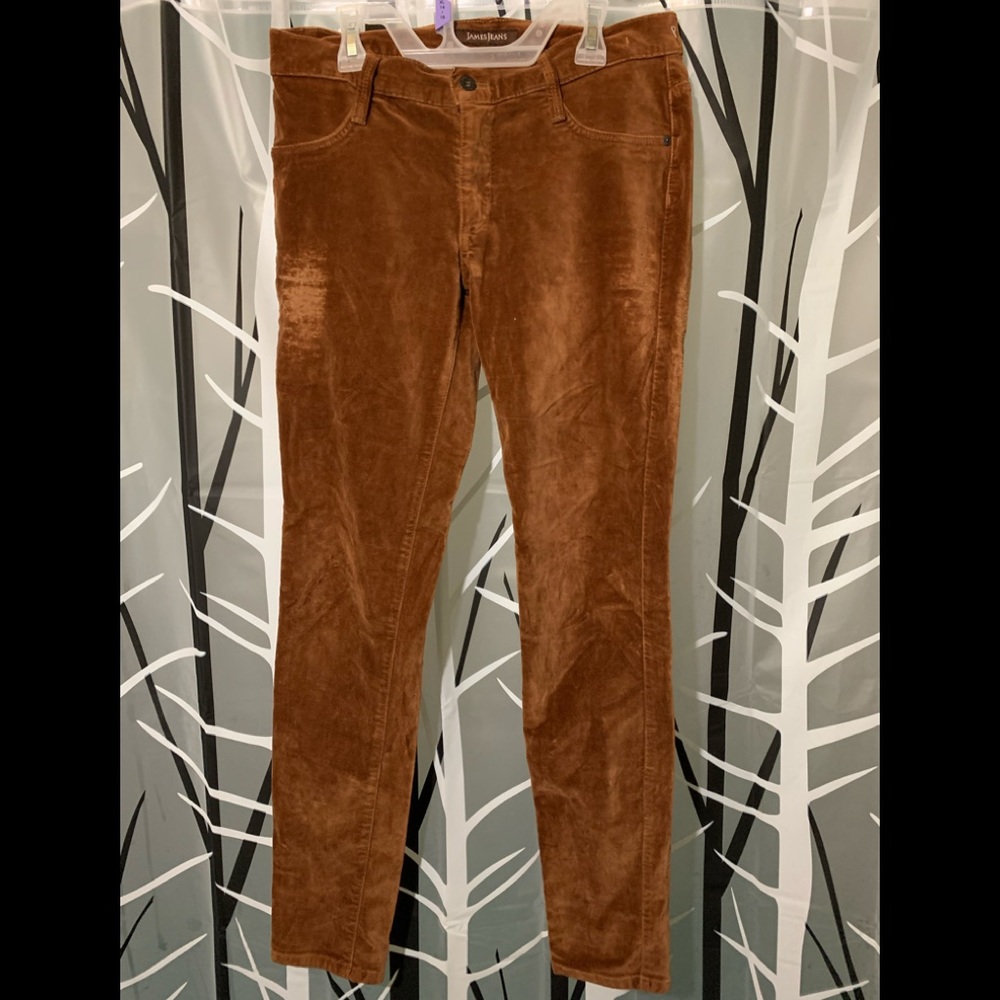 🔥5/$25 James Jeans Twiggy Pants Sz 28